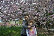 2010-04-11 11-17-33_0065